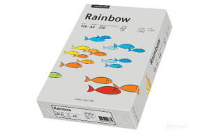Papier kolorowy Rainbow szary A4/250ark. 160g 